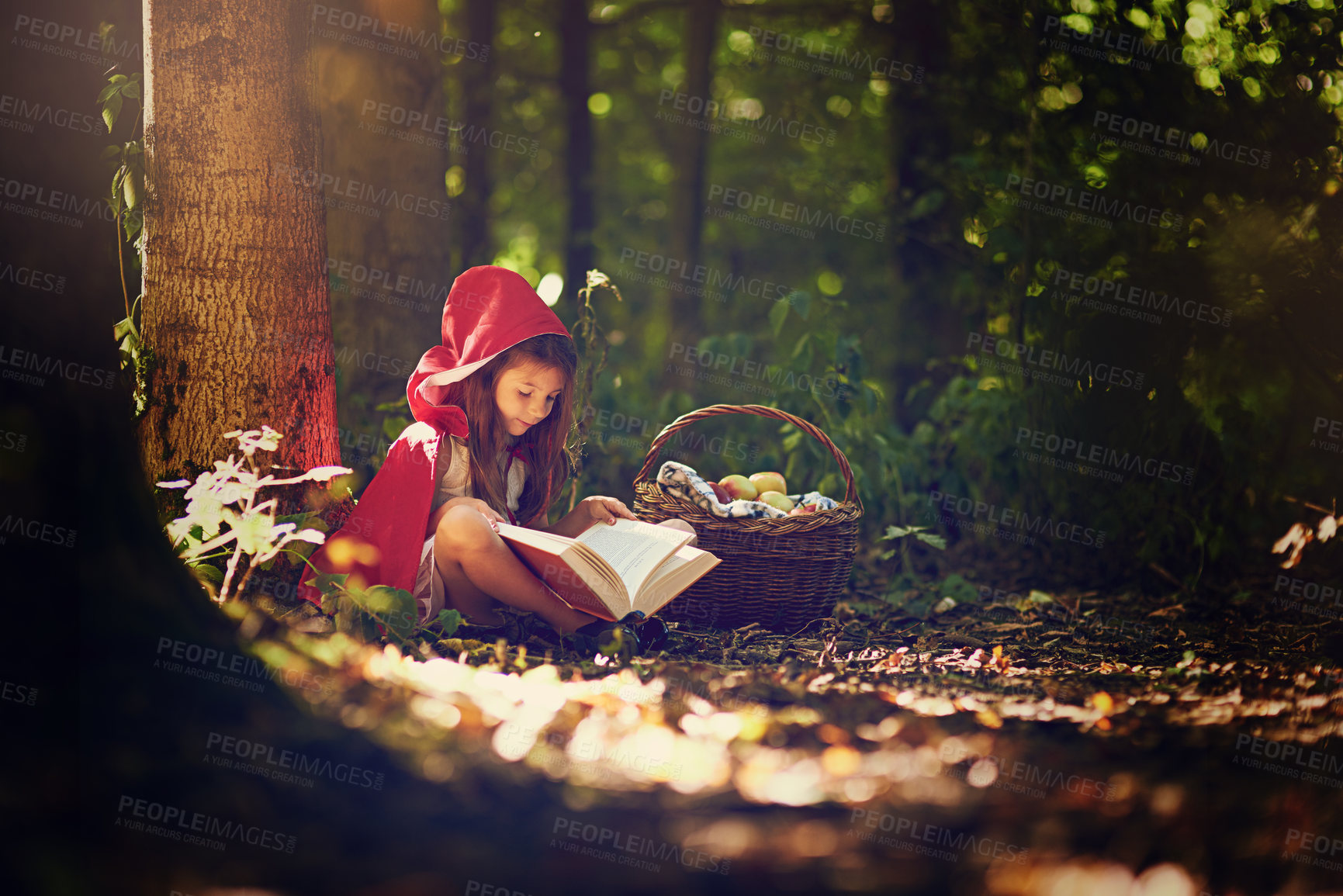 Buy stock photo Shot of a little girl in a red cape reading a book in the woods