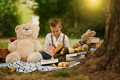 Buy stock photo Learning, picnic and boy kid reading book in forest with teddy bear, toys or child development in nature. Happy, literacy or relax in park for fantasy, fairytale or peace in woods for education hobby