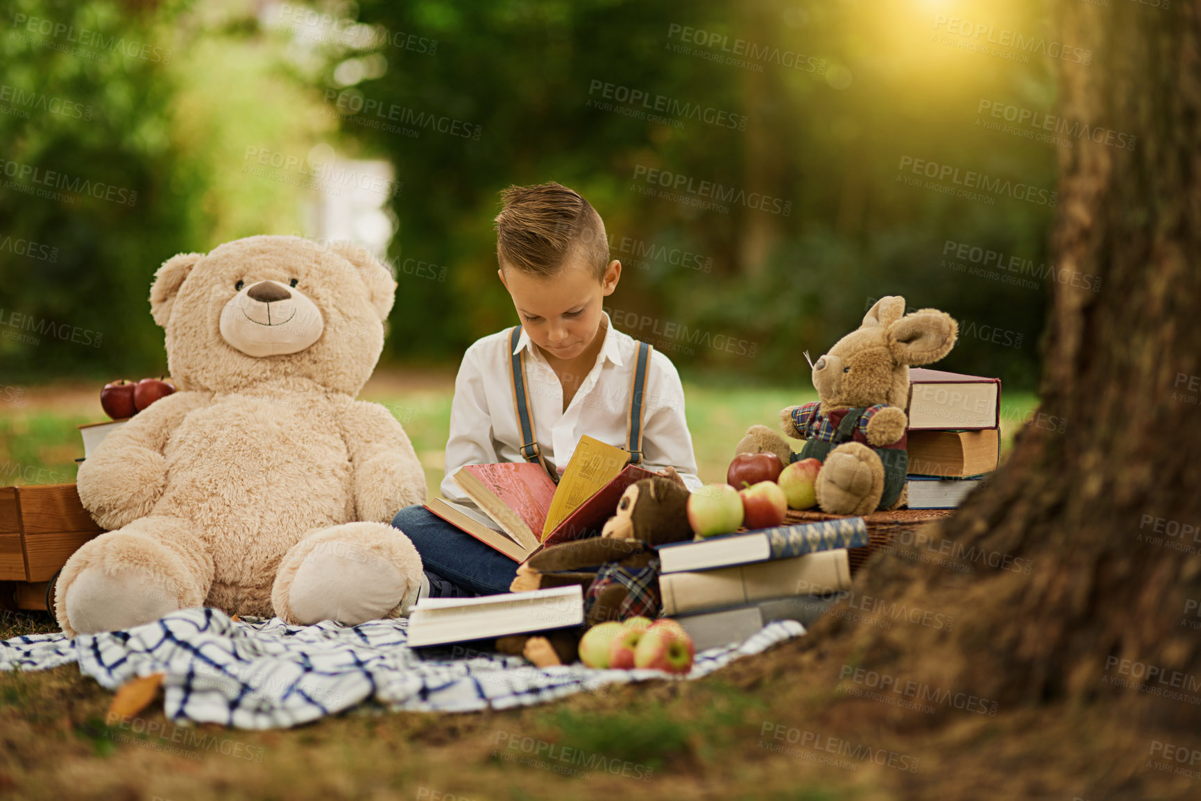 Buy stock photo Learning, picnic and boy kid reading book in forest with teddy bear, toys or child development in nature. Happy, literacy or relax in park for fantasy, fairytale or peace in woods for education hobby