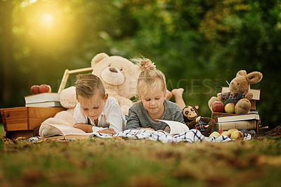 Buy stock photo Shot of a little boy and his sister out reading in the woods