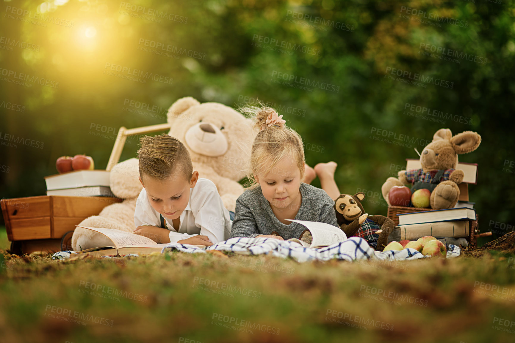 Buy stock photo Shot of a little boy and his sister out reading in the woods