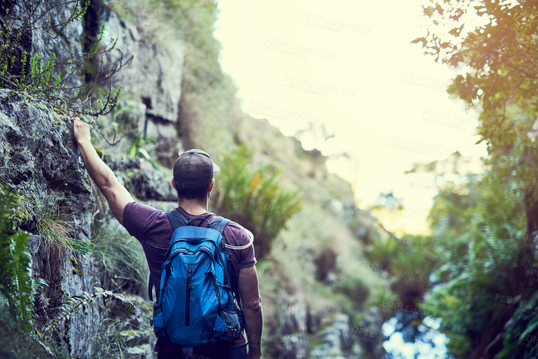 Buy stock photo Rearview shot of a young man exploring a hiking trail on his own
