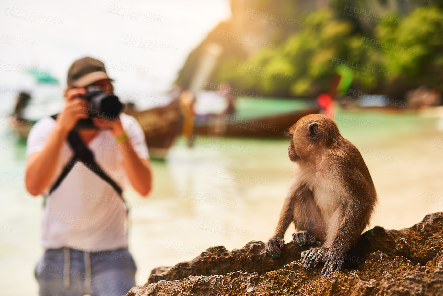 Buy stock photo Shot of a young tourist taking a picture of a monkey while exploring a tropical beach