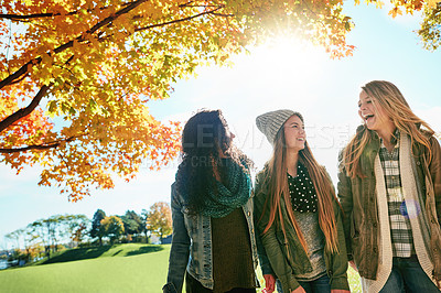 Buy stock photo Shot of a group of young friends enjoying a day at the park together