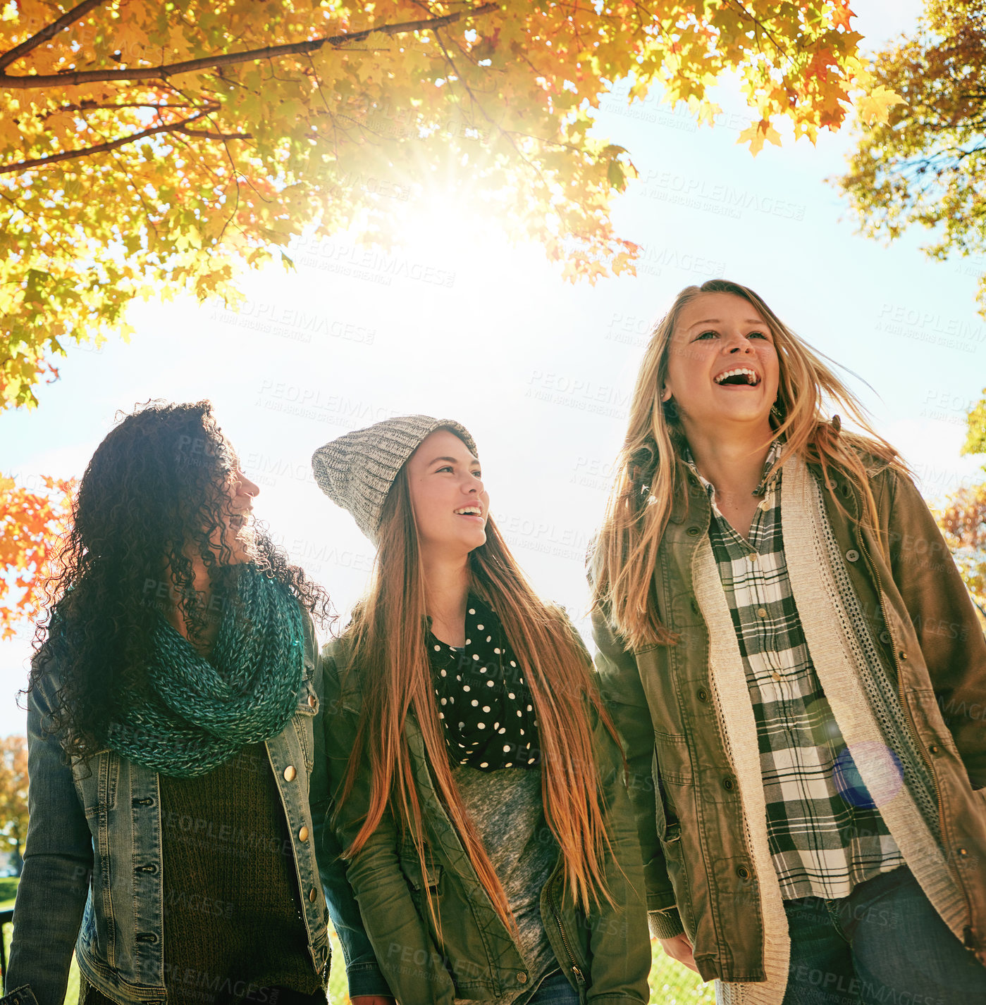 Buy stock photo Shot of a group of young friends enjoying a day at the park together