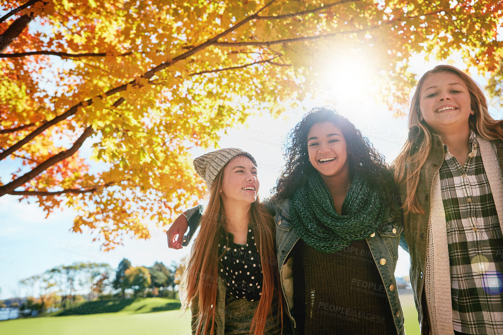 Buy stock photo Shot of a group of young friends enjoying a day at the park together