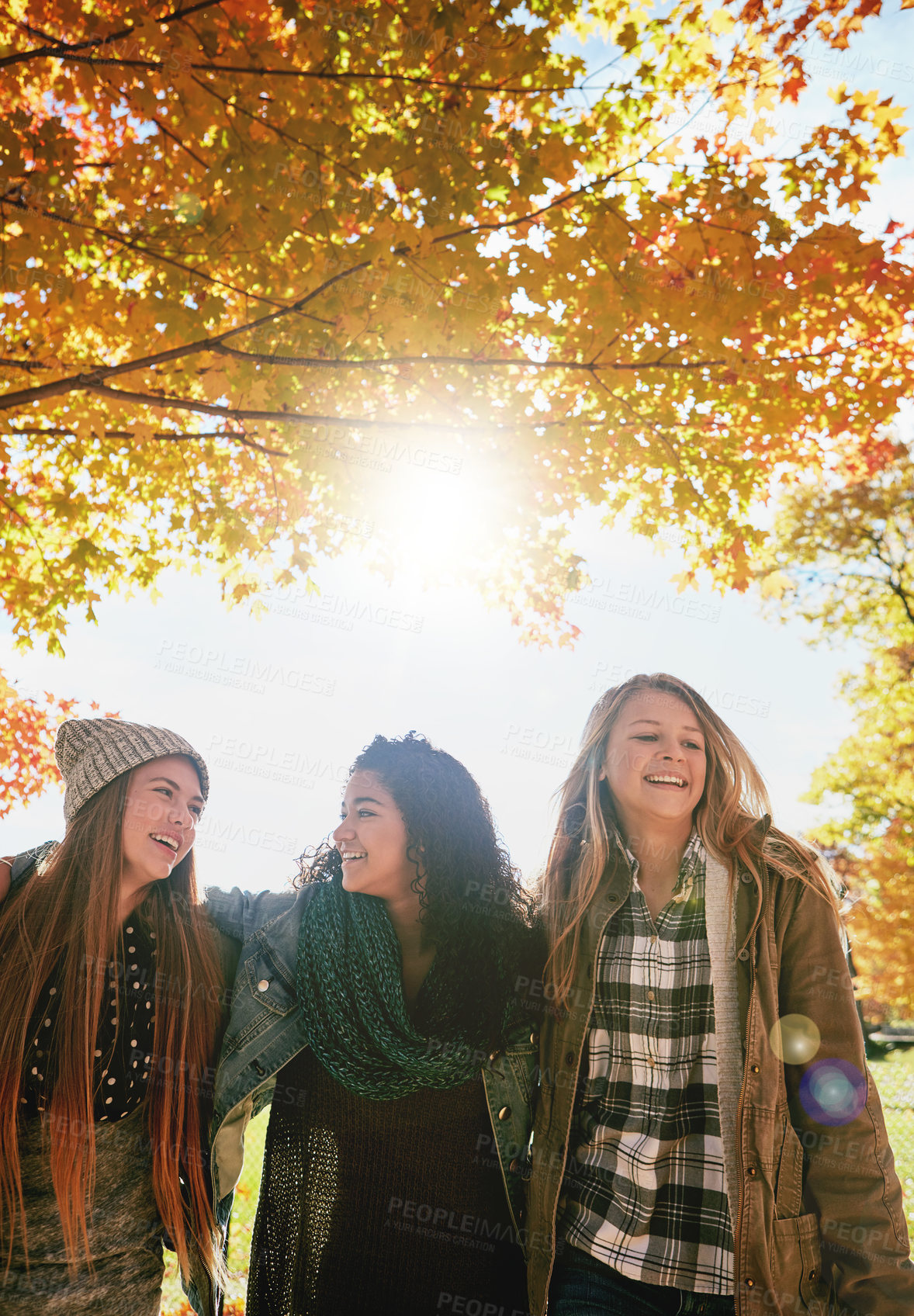 Buy stock photo Shot of a group of young friends enjoying a day at the park together