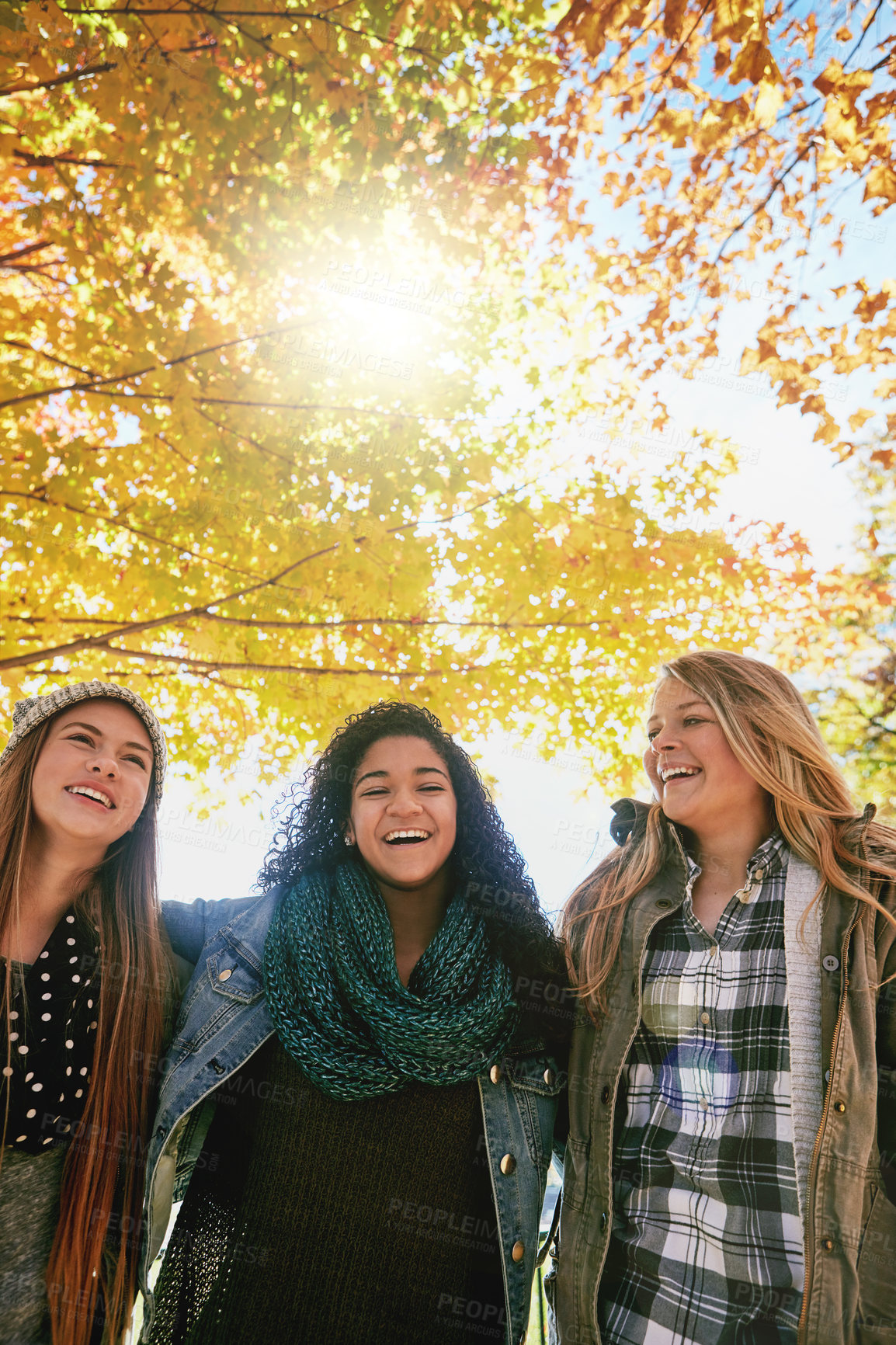 Buy stock photo Shot of a group of young friends enjoying a day at the park together