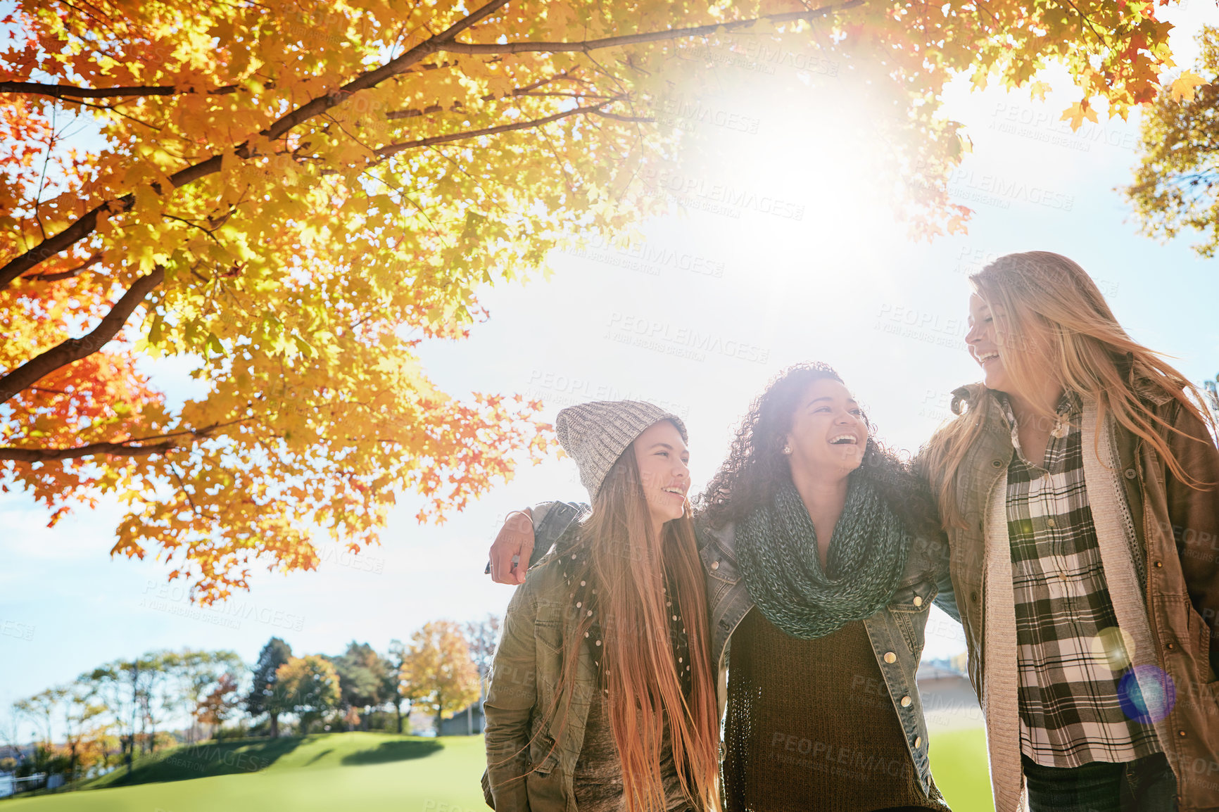 Buy stock photo Shot of a group of young friends enjoying a day at the park together