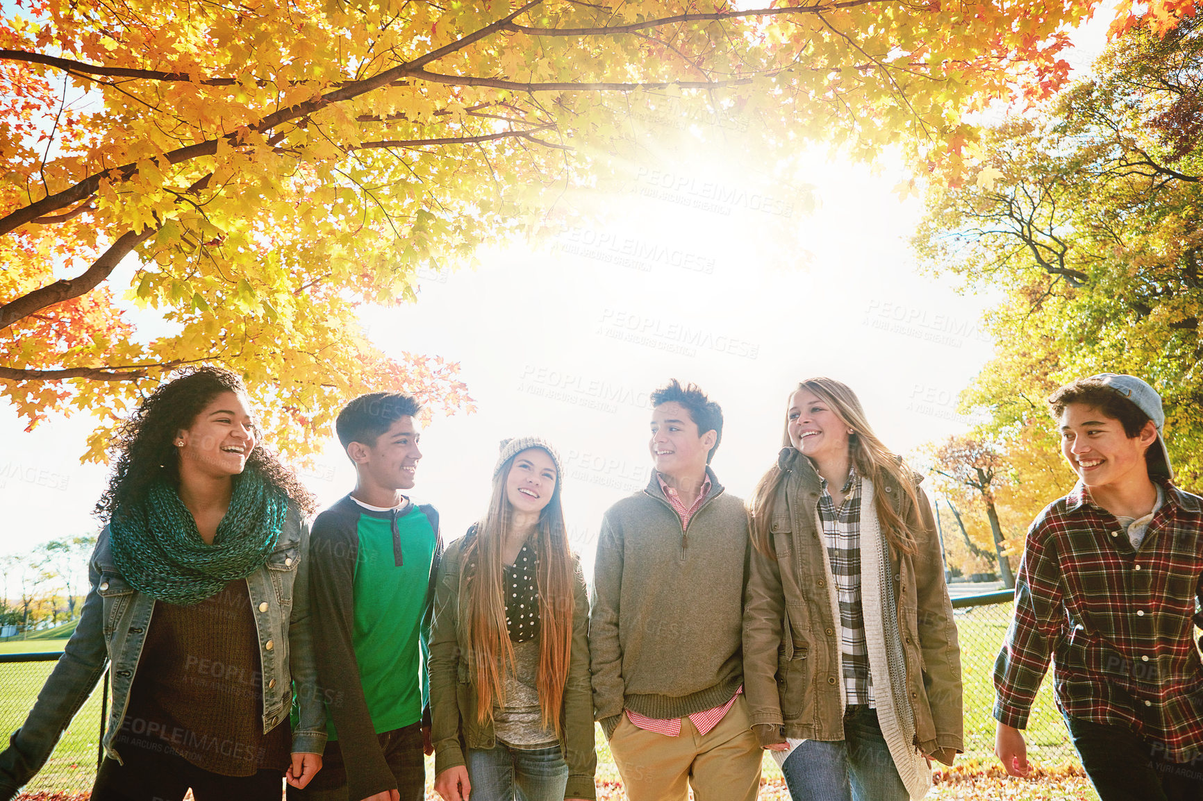 Buy stock photo Tree, smile and group of friends in park for outdoor adventure, vacation or bonding together. Light, flare and people with happiness in nature for friendship, support or break on weekend in Manhattan