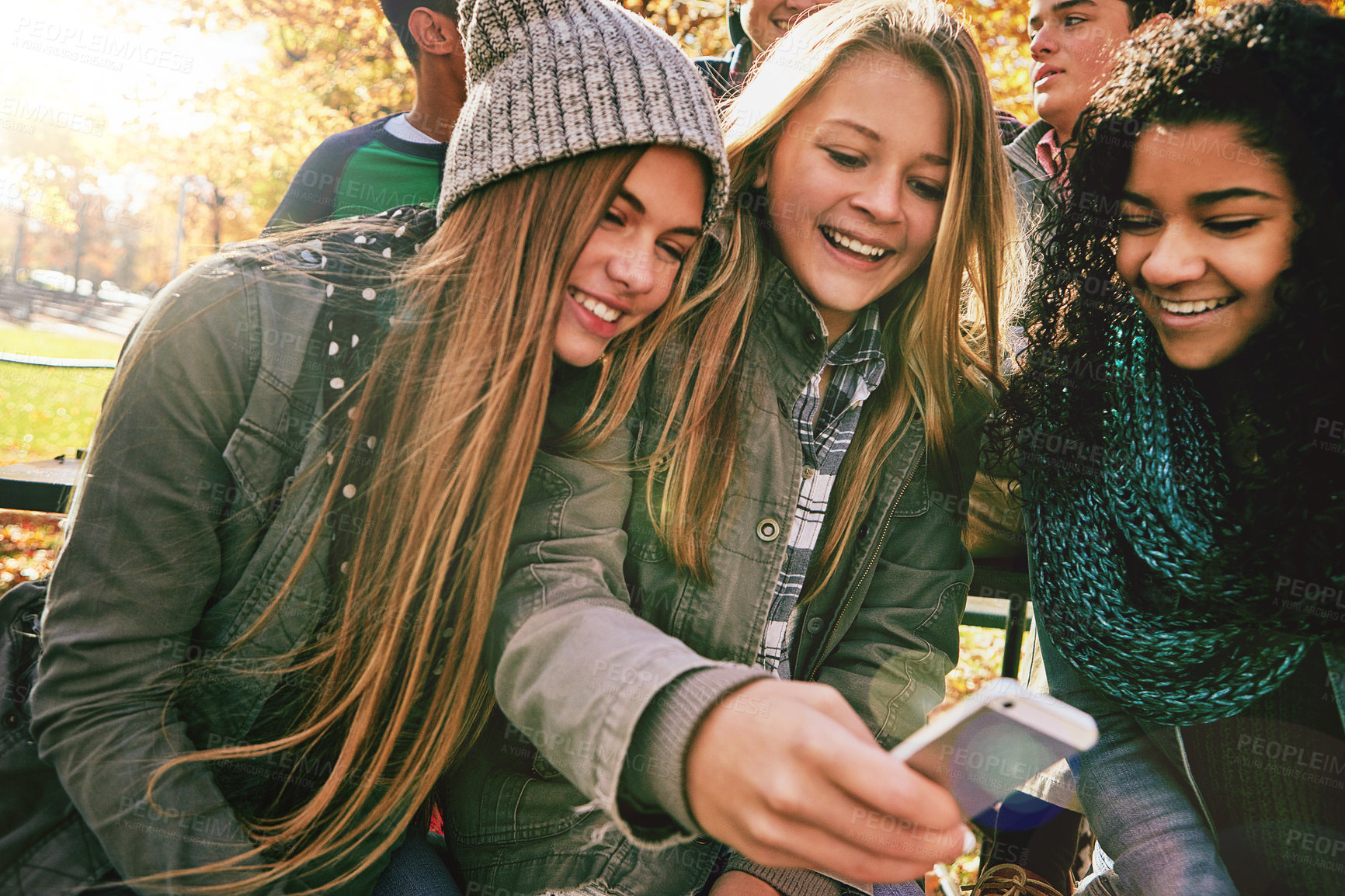 Buy stock photo Shot of a group of young friends using a mobile phone together while out in the park