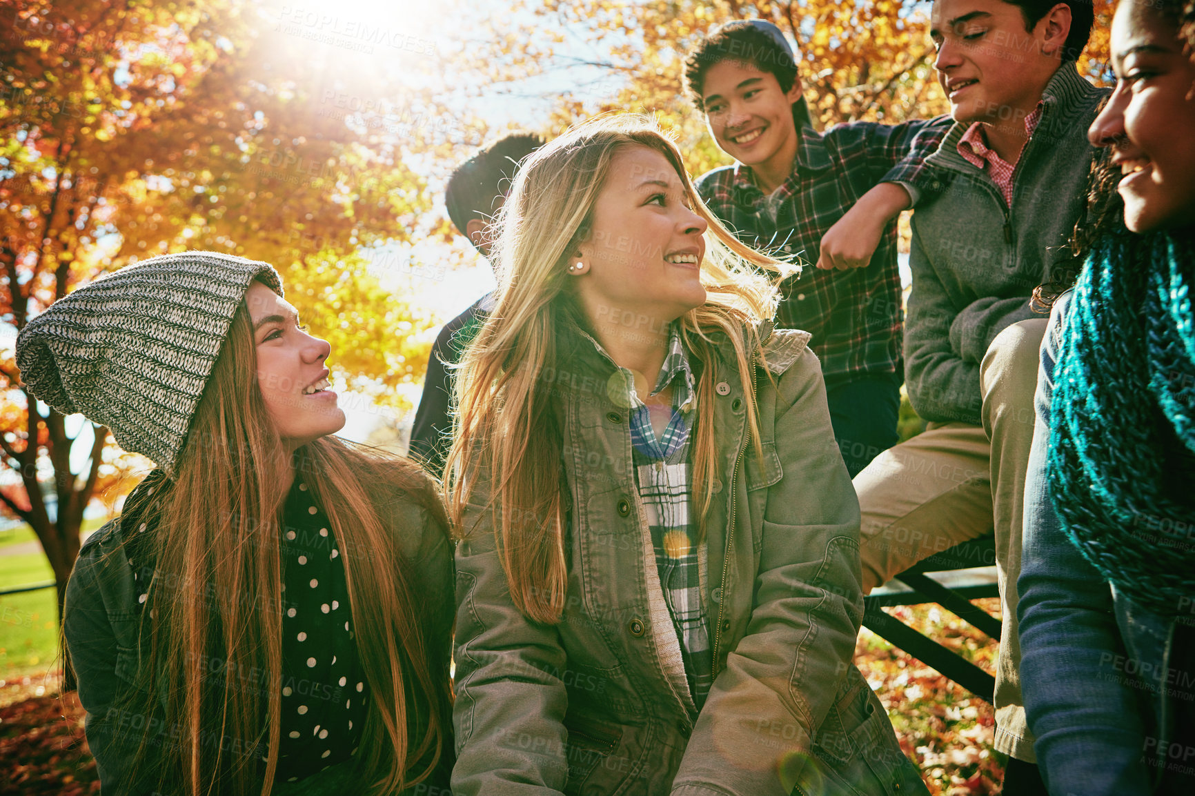 Buy stock photo Happy, teenagers and friends outdoor in park for relaxing day on summer vacation of semester break, together and speaking. Group, diversity and trees in garden on holiday in New Zealand and bonding.