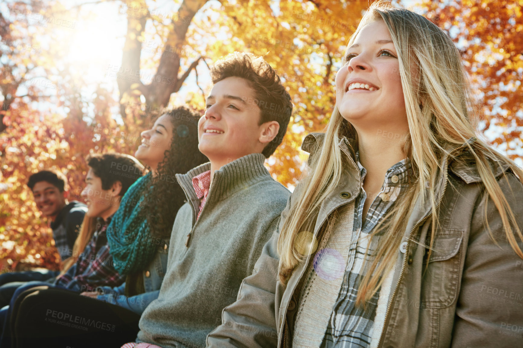 Buy stock photo Happy, line and friends outdoor in park for relaxing day on summer vacation of semester break, together and bonding. Group, teenagers and trees in garden on holiday in New Zealand and lens flare.