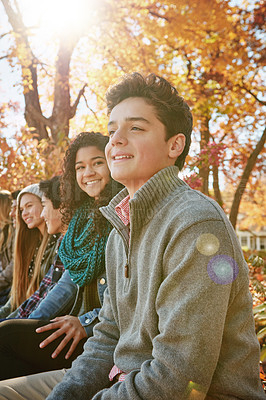 Buy stock photo Shot of a group of young friends enjoying a day at the park together