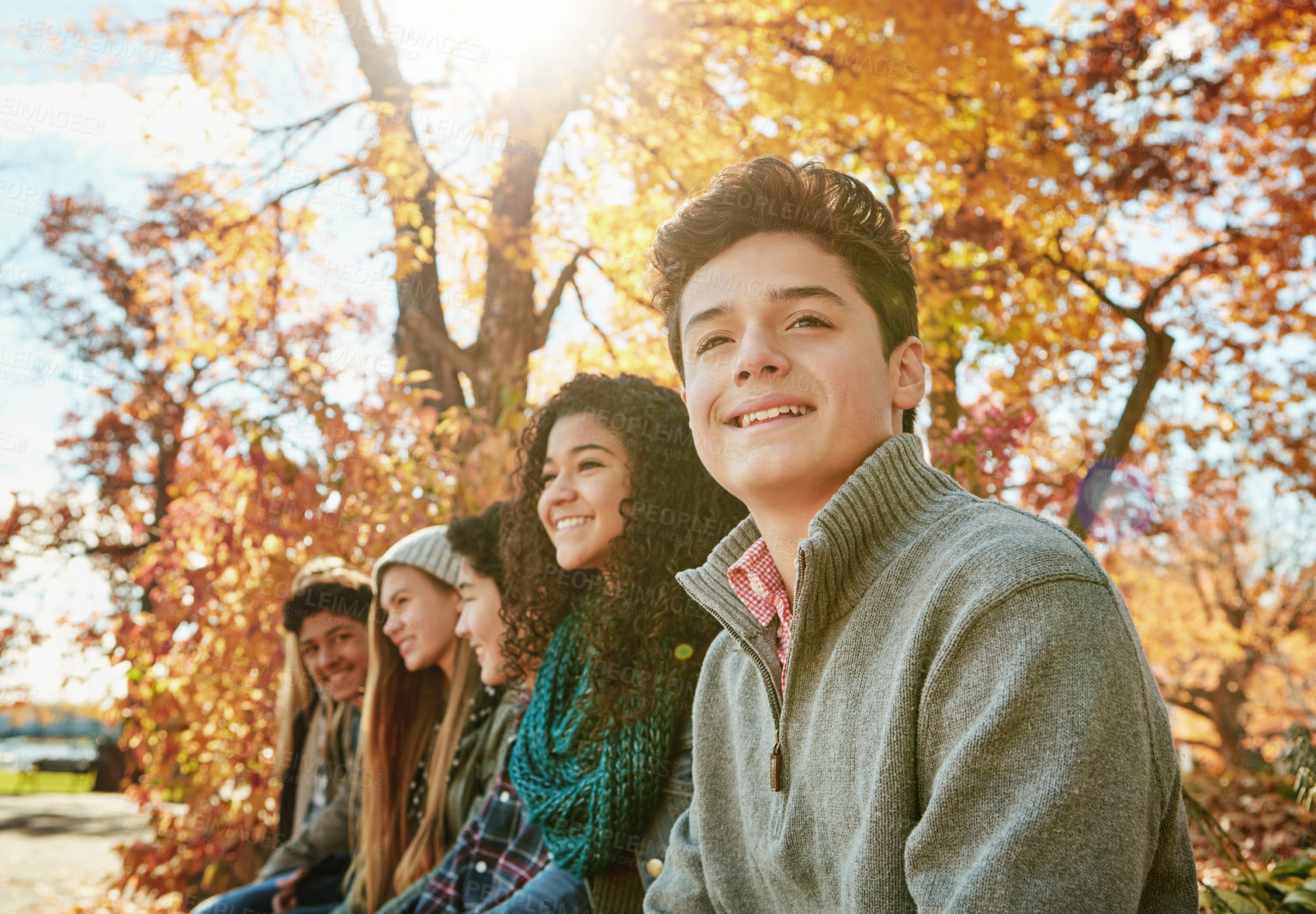 Buy stock photo Portrait of a group of young friends enjoying a day at the park together