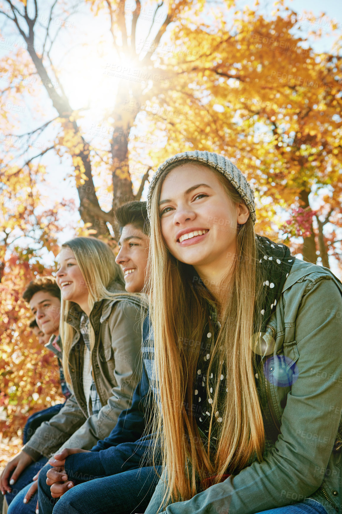 Buy stock photo Shot of a group of young friends enjoying a day at the park together