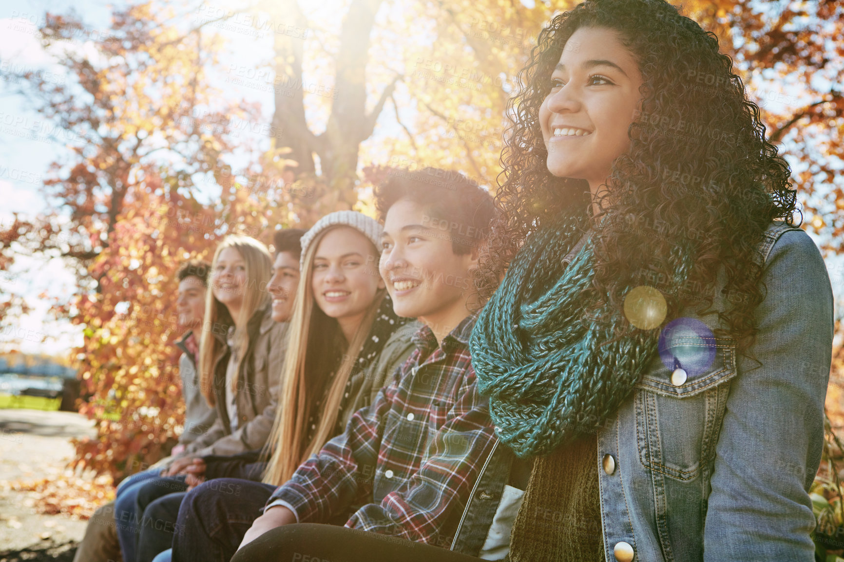 Buy stock photo Shot of a group of young friends enjoying a day at the park together