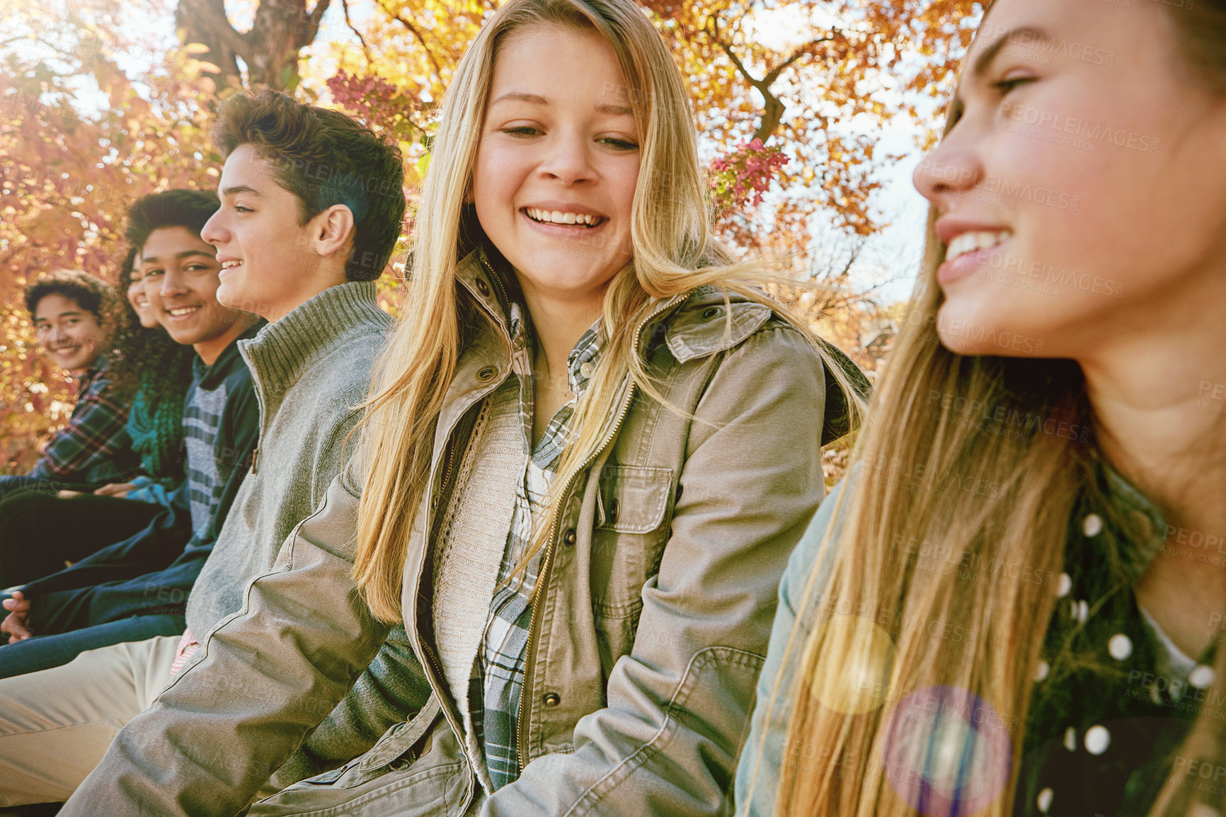 Buy stock photo Shot of a group of young friends enjoying a day at the park together