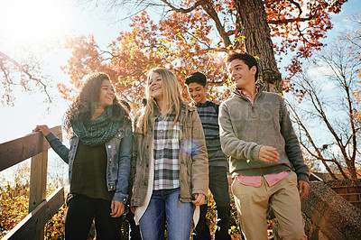 Buy stock photo Shot of a group of teenage friends enjoying an autumn day outside together