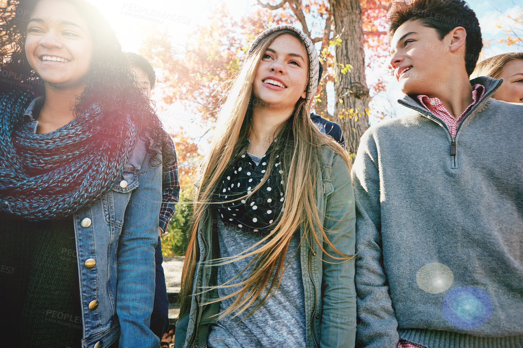 Buy stock photo Shot of a group of teenage friends enjoying an autumn day outside together