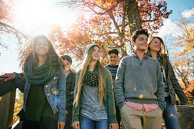 Buy stock photo Shot of a group of teenage friends enjoying an autumn day outside together