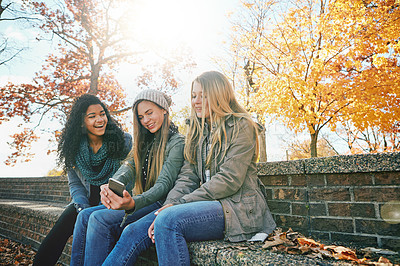 Buy stock photo Phone meme, happy or friends in park with smile together for holiday vacation outdoors on social media. Friendship, gossip or young gen z girls in nature talking, speaking or laughing at a funny joke