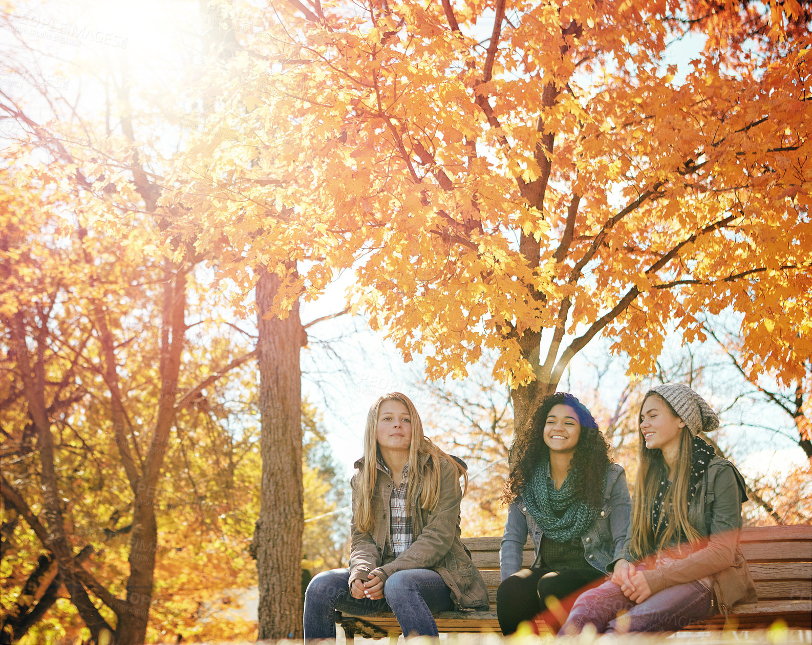 Buy stock photo Girl, friends and conversation in a park, relax and bonding on autumn morning happy, holiday or hanging out. Youth, teenager and female group in a forest chilling, speaking or enjoy weekend in nature