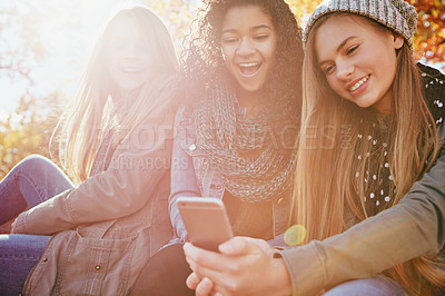 Buy stock photo Phone, meme or funny friends in park with smile for holiday vacation on social media post for gossip news. Happy people, drama or gen z girls in nature talking, speaking or laughing at comedy joke