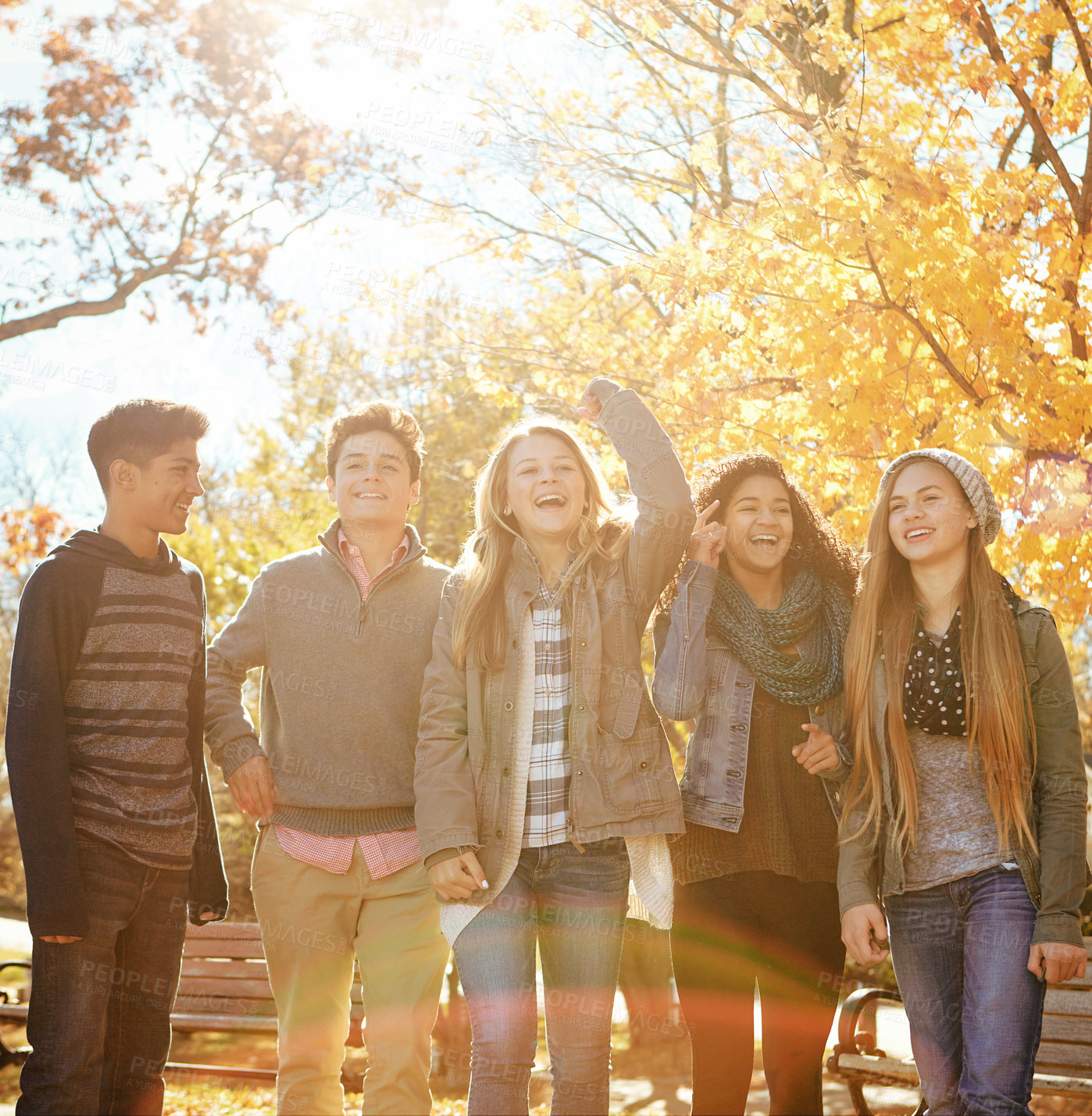 Buy stock photo Shot of a group of teenage friends enjoying an autumn day outside together