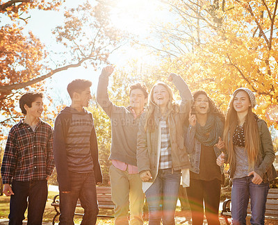 Buy stock photo Shot of a group of teenage friends enjoying an autumn day outside together