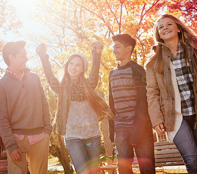 Buy stock photo Shot of a group of teenage friends enjoying an autumn day outside together