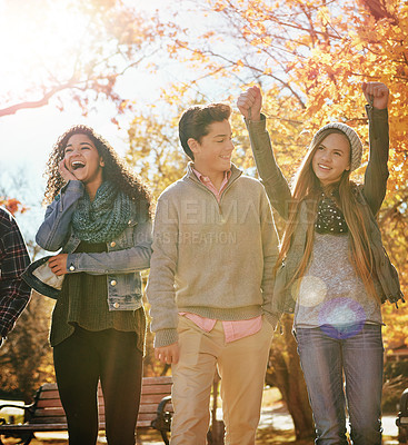 Buy stock photo Shot of a group of teenage friends enjoying an autumn day outside together