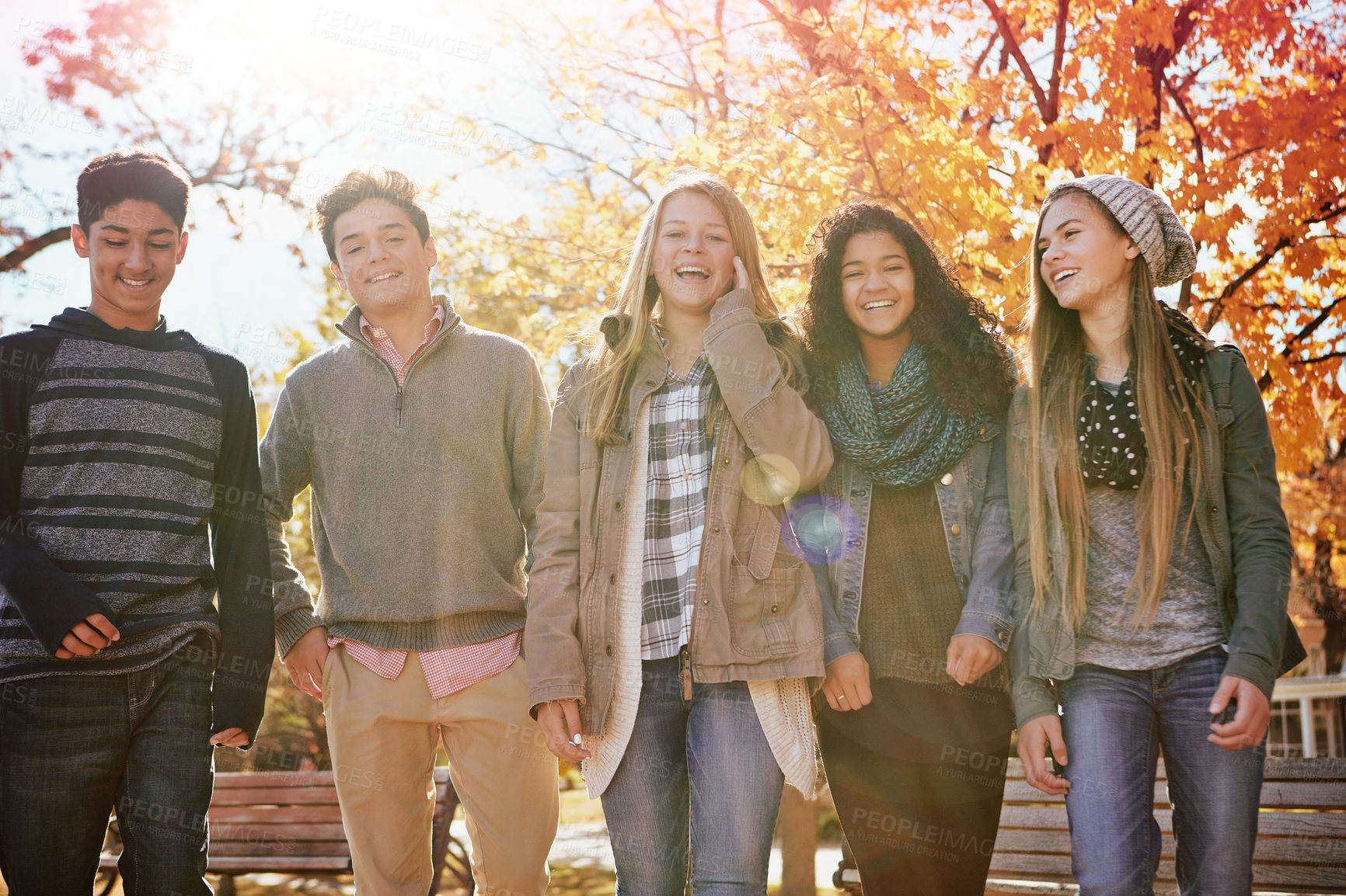 Buy stock photo Shot of a group of teenage friends enjoying an autumn day outside together