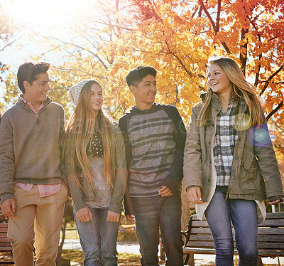 Buy stock photo Shot of a group of teenage friends enjoying an autumn day outside together