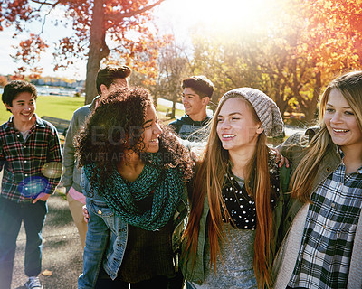 Buy stock photo Shot of a group of teenage friends enjoying an autumn day outside together