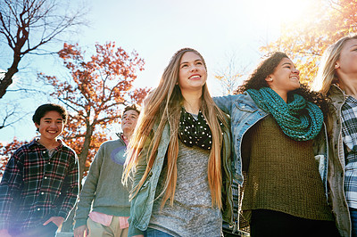 Buy stock photo Shot of a group of teenage friends enjoying an autumn day outside together