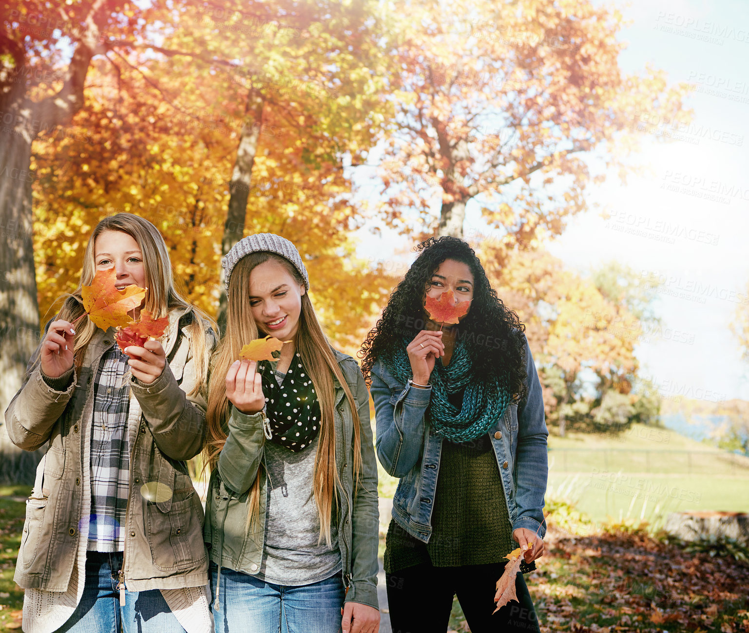 Buy stock photo Shot of a group of teenage friends enjoying an autumn day outside together