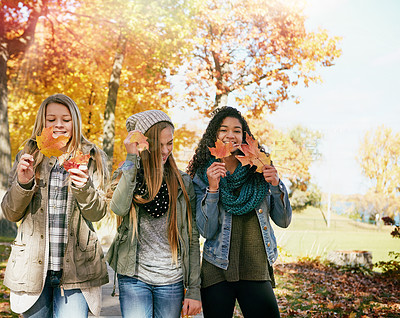 Buy stock photo Shot of a group of teenage friends enjoying an autumn day outside together