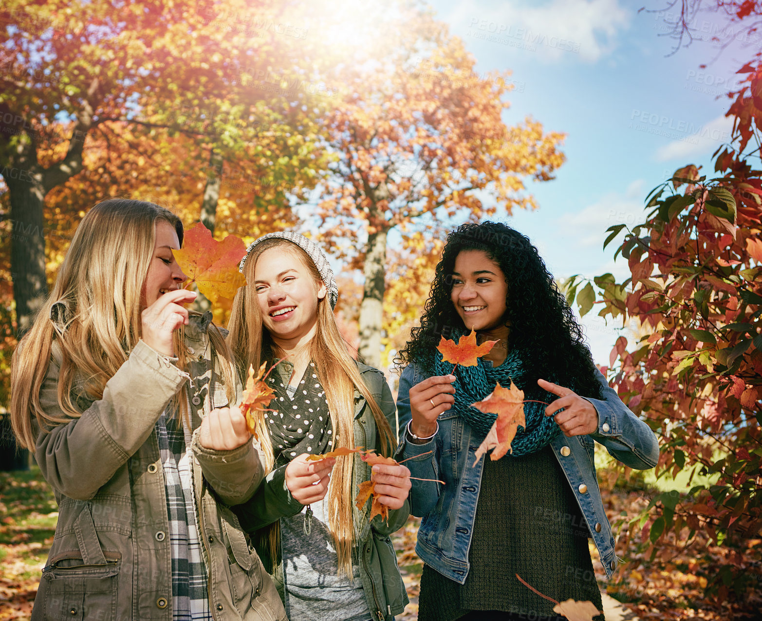 Buy stock photo Laughing, friends and girls with leaves, park and celebration for autumn, happy or bonding in nature. Outdoor, fall and people with smile for holiday, together and teens on break, flare and season