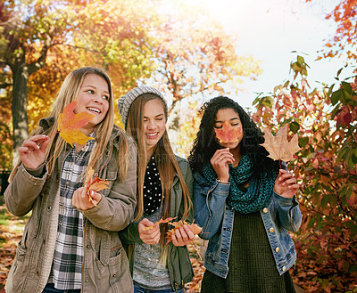 Buy stock photo Shot of a group of teenage friends enjoying an autumn day outside together