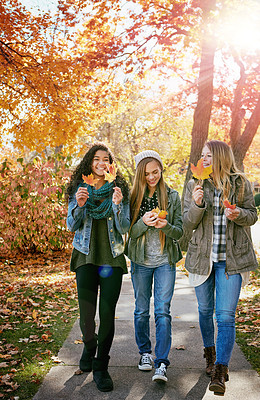 Buy stock photo Shot of a group of teenage friends enjoying an autumn day outside together