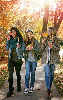 Buy stock photo Shot of a group of teenage friends enjoying an autumn day outside together