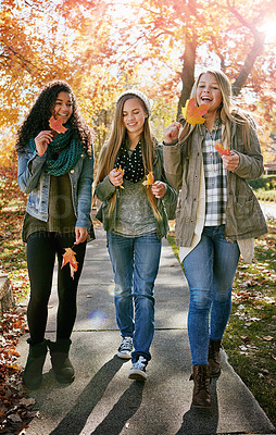 Buy stock photo Shot of a group of teenage friends enjoying an autumn day outside together