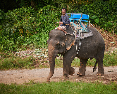 Buy stock photo Portrait of a handler riding an elephant through a tropical rainforest
