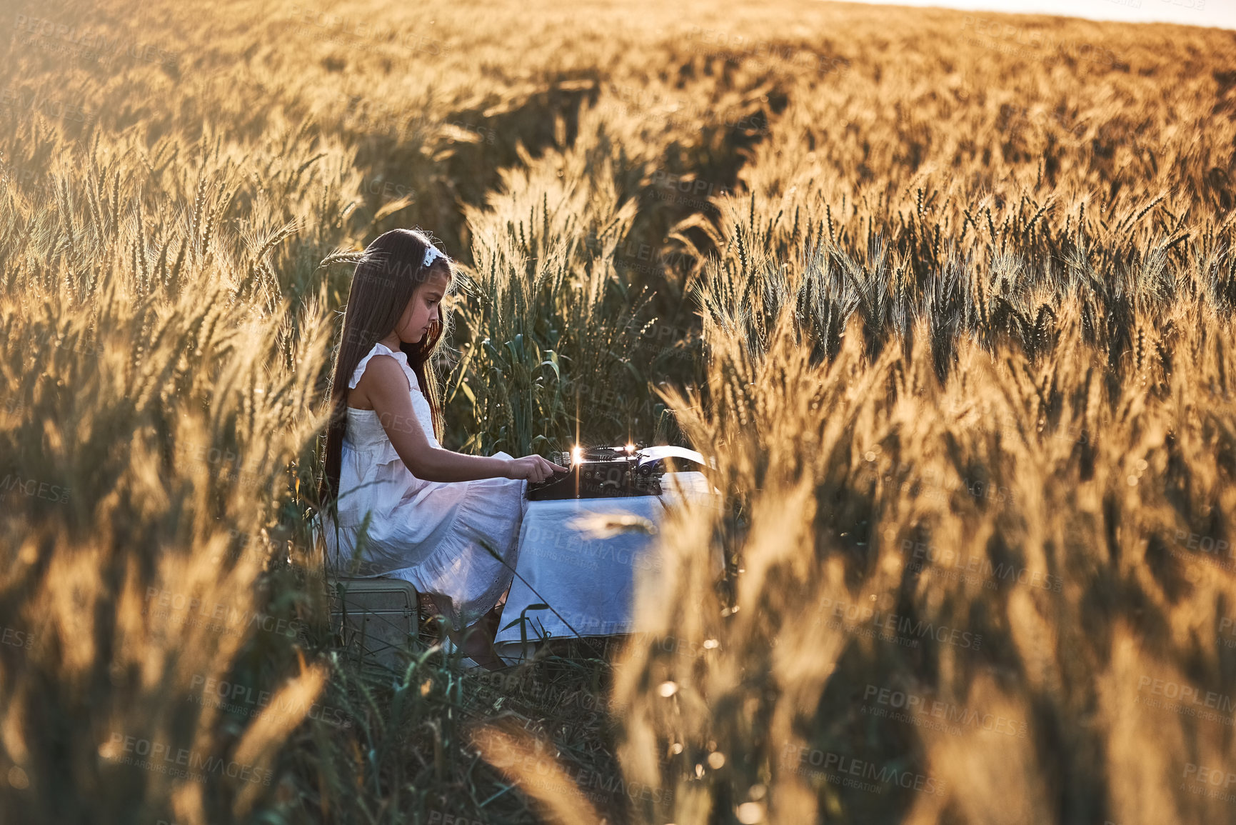 Buy stock photo Outdoor, writer and girl with typewriter, nature and creative in cornfield, typing and child with talent. Morning, kid and relax with ideas for short story in Nebraska, growth or development of youth