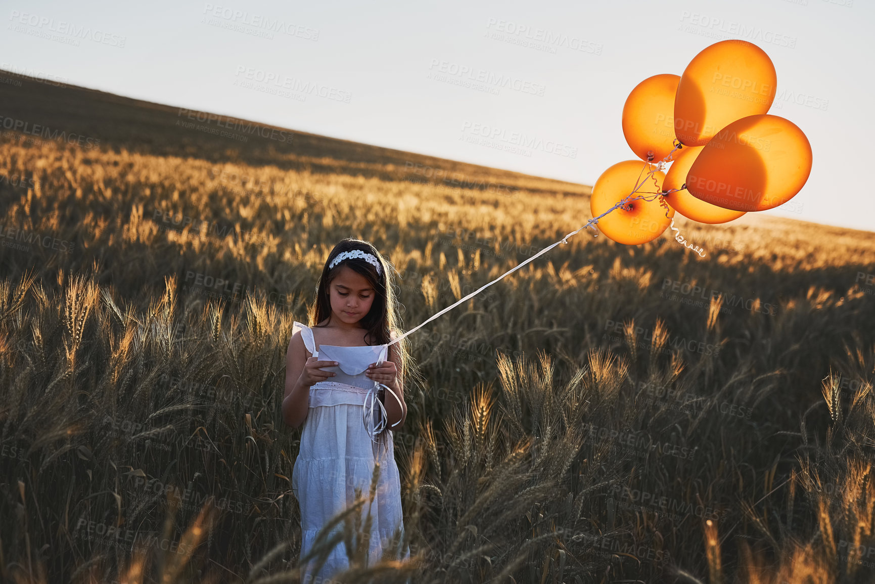 Buy stock photo Shot of a cute little girl attaching a letter to a bunch of balloons while standing in a cornfield