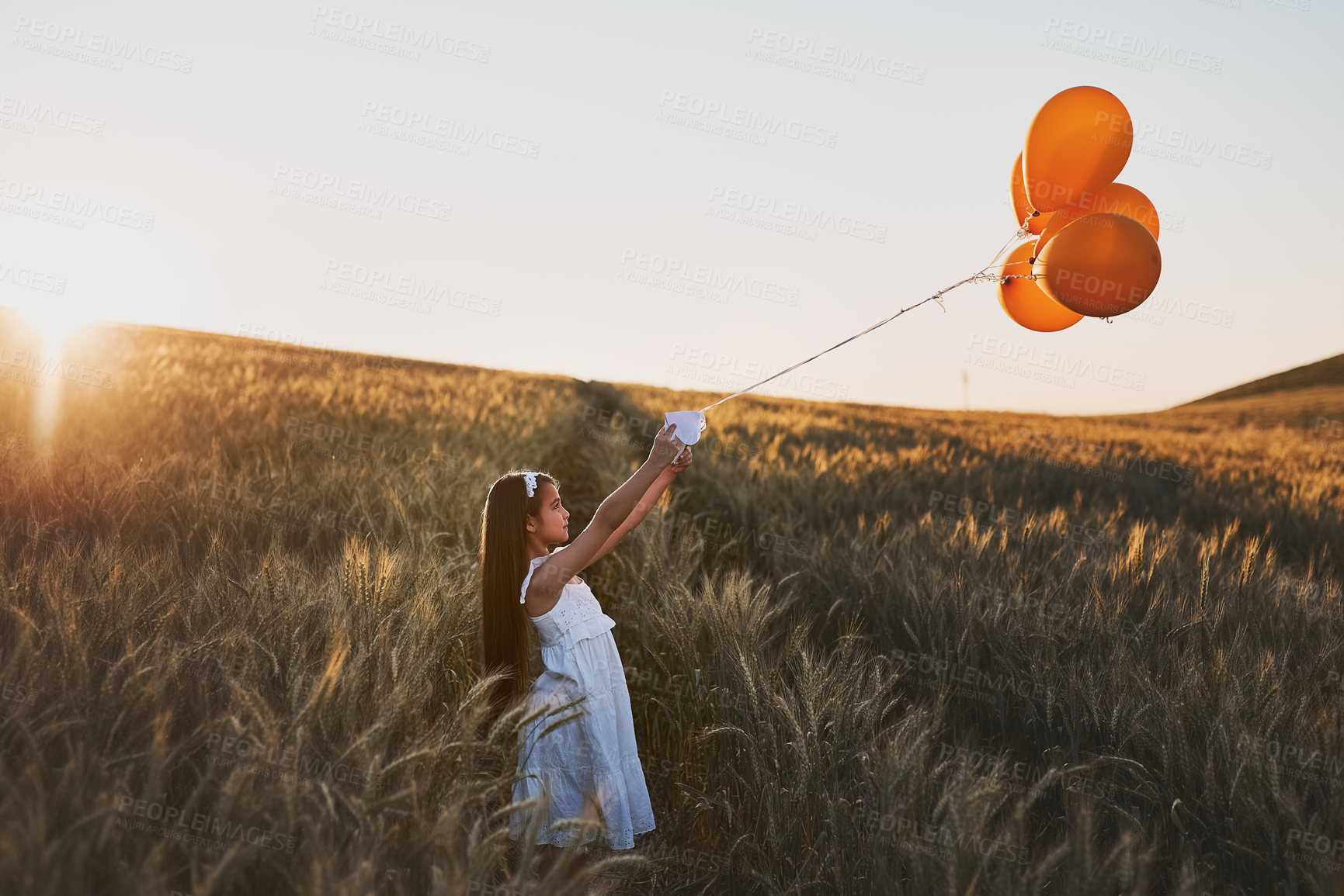 Buy stock photo Shot of a cute little girl attaching a letter to a bunch of balloons while standing in a cornfield