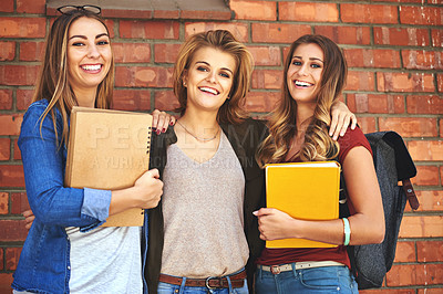 Buy stock photo Portrait of a group of smiling female university students standing together on campus