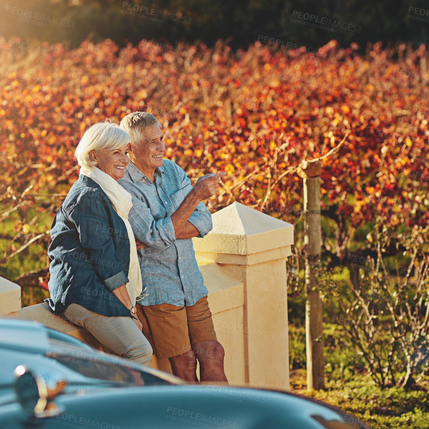 Buy stock photo Senior couple, talking and date in outdoor for love, romance and relax in vineyard or nature. Elderly people, speaking and bonding together on vacation, holiday and calm retirement for marriage