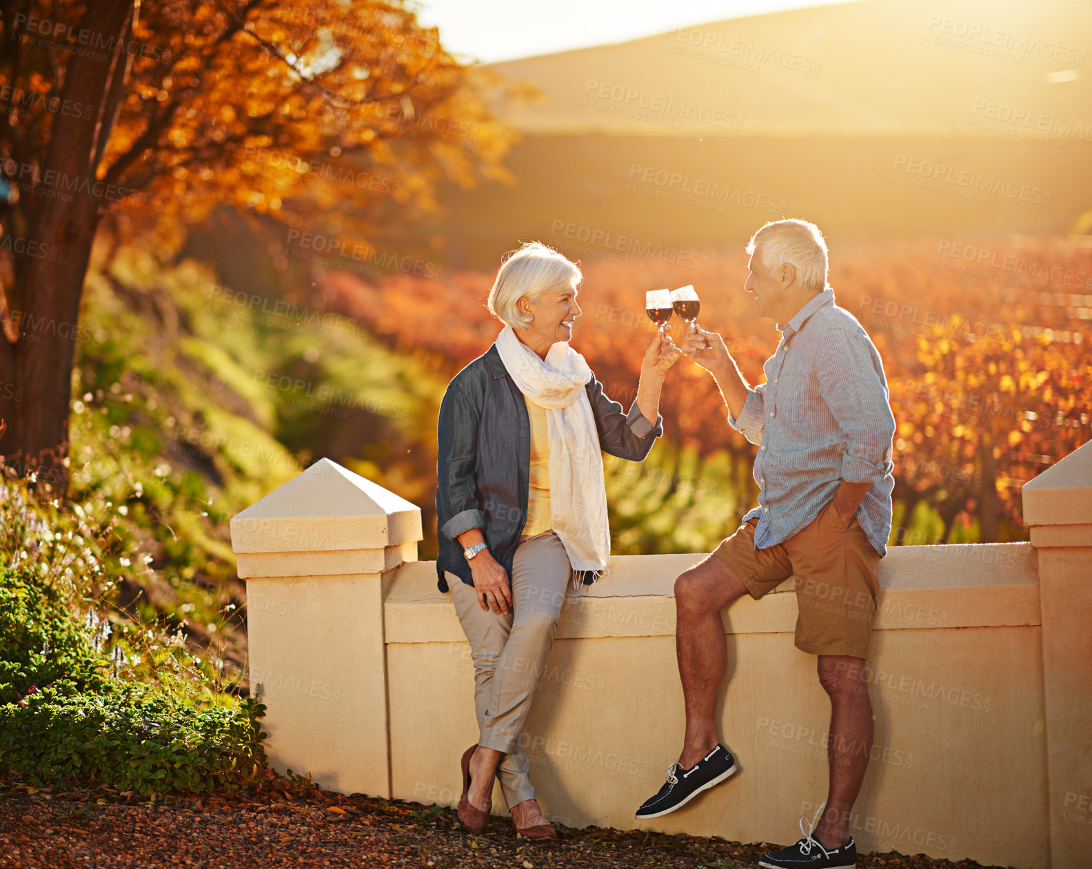 Buy stock photo Senior couple, glasses and toast in outdoor for love, romance and relax in vineyard or nature. Elderly people, cheers and drink alcohol on vacation, marriage and calm celebration on anniversary